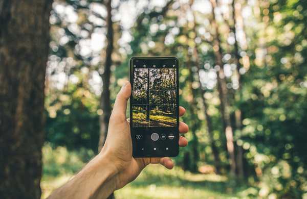 Which Smartphones Are Environmentally Friendly