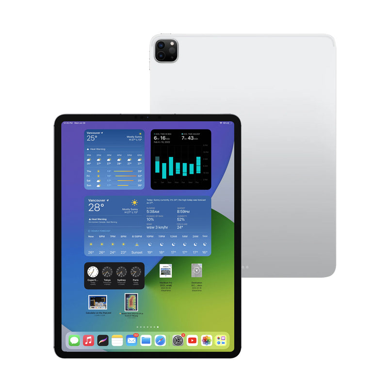 iPad Pro 12.9 Inch 4th Gen (Cellular)