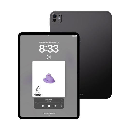 iPad Pro 11 Inch 7th Gen Nano-textured Glass (Wi-Fi) 2TB