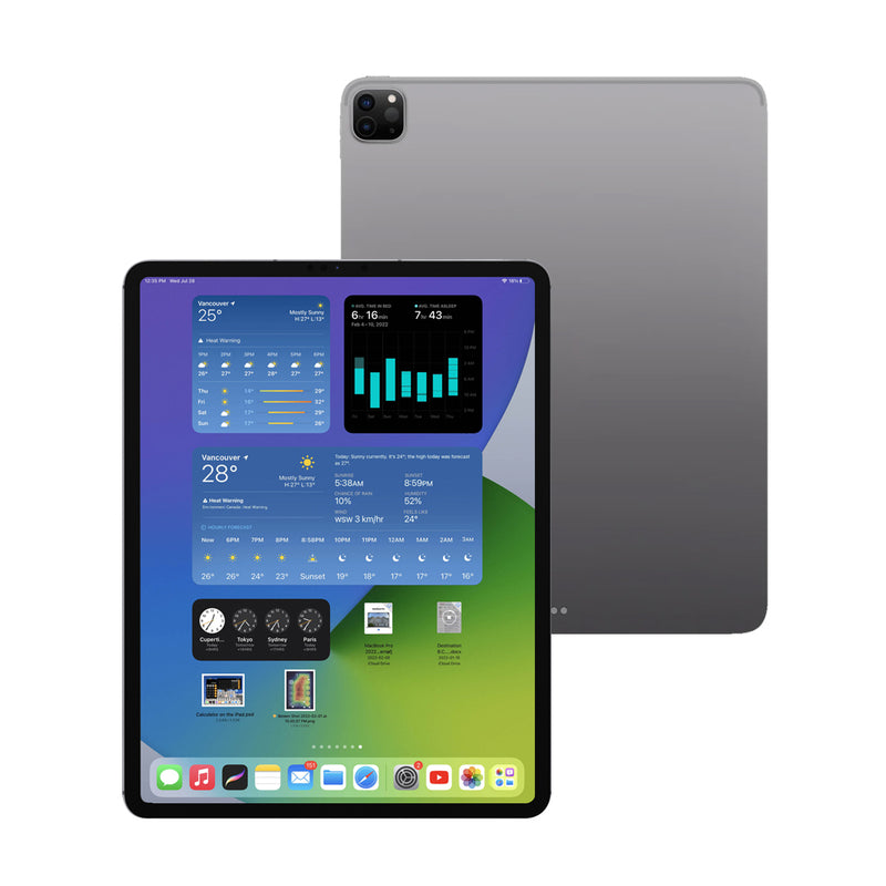 iPad Pro 11 Inch 2nd Gen (Cellular)