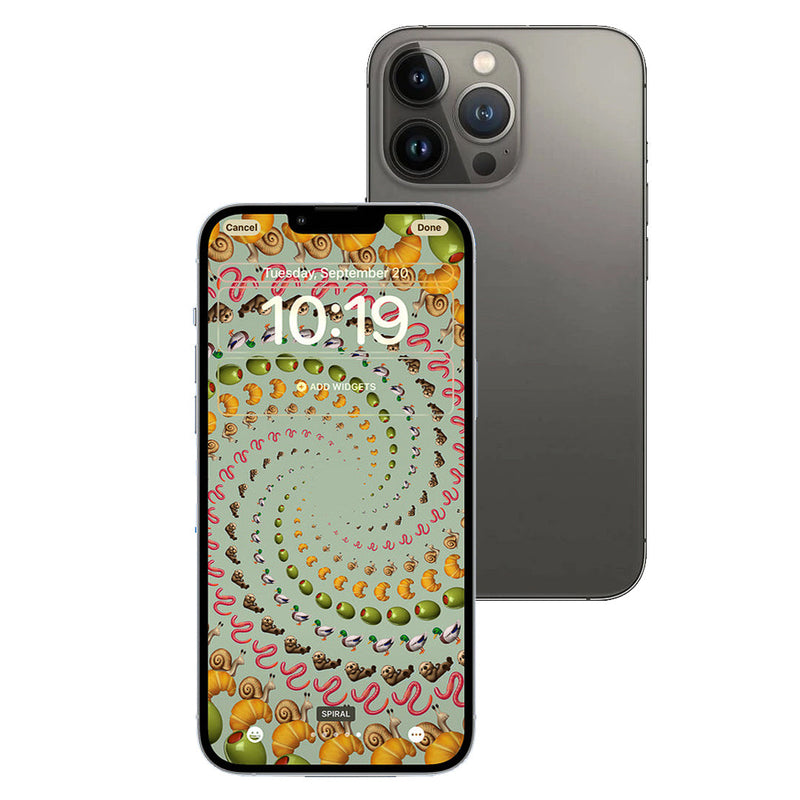 iPhone 13 Pro Max 1TB