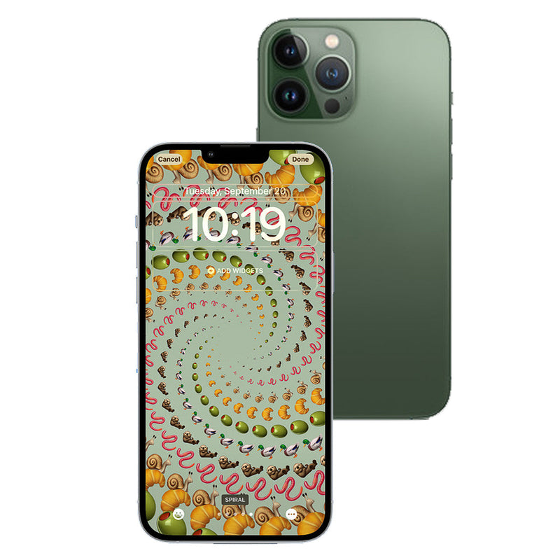 iPhone 13 Pro Max 1TB